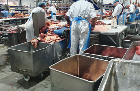 Produksjonslinje for førsteklasses kjøttprodukter Foto: Privat